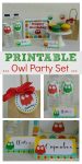 Owl Printables Make Planning An Amazing Party Easy