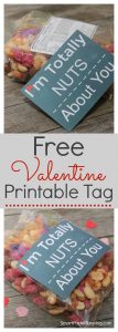 Super Fun Free Valentine "Nuts About You" Printable