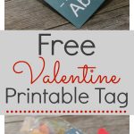 Super Fun Free Valentine "Nuts About You" Printable