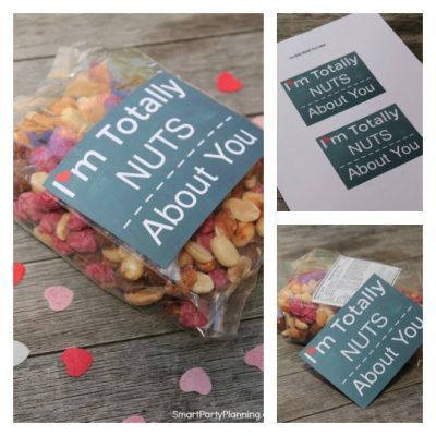 Super Fun Free Valentine "Nuts About You" Printable