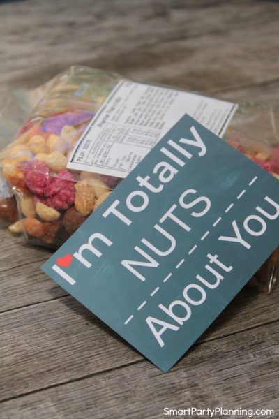 Super Fun Free Valentine "Nuts About You" Printable